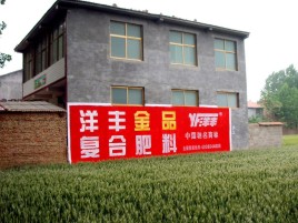 西华如何让墙体广告展现最大化效果