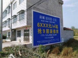 西华墙体广告质量分析