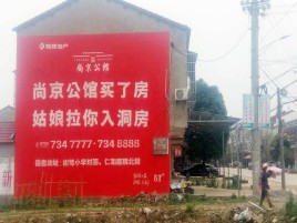 西华墙体广告在乡镇、农村市场的媒体优势