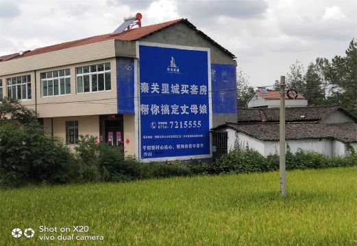 西华决定墙体广告价格的因素有哪些？