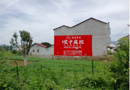 西华做墙体广告的意义