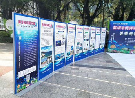 西华KT板的种类和知识。